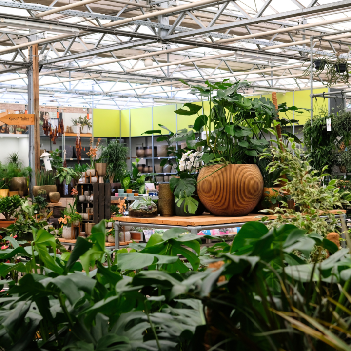 Wie geeft u een tuincentrum Schmitz giftcard? Wie geeft u een tuincentrum Schmitz giftcard?