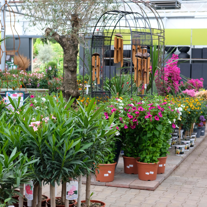 Wie geeft u een tuincentrum Schmitz cadeaukaart? Wie geeft u een tuincentrum Schmitz cadeaukaart?