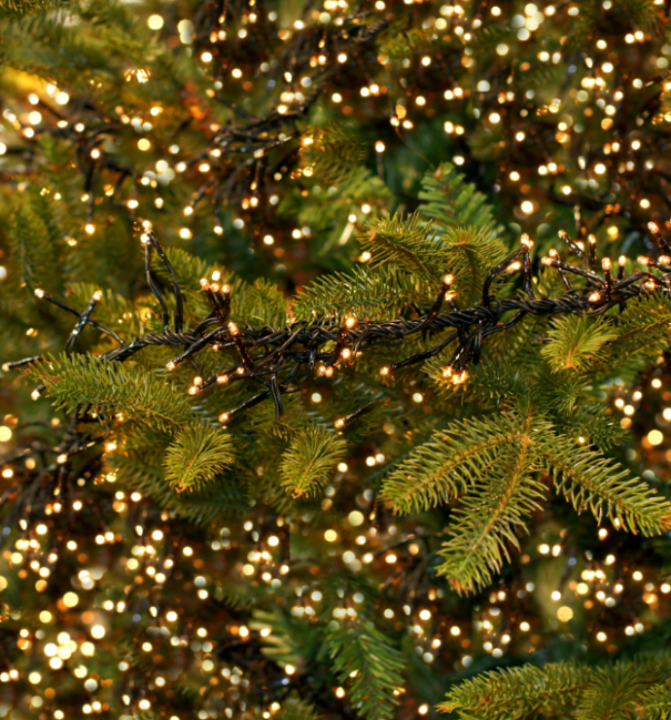 Tuincentrum Schmitz heeft een geweldig aanbod kerstboomverlichting!