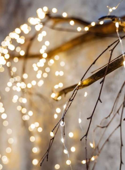 Kerstlichtjes kopen? U doet het bij tuincentrum Schmitz in Vlodrop, nabij Roermond!