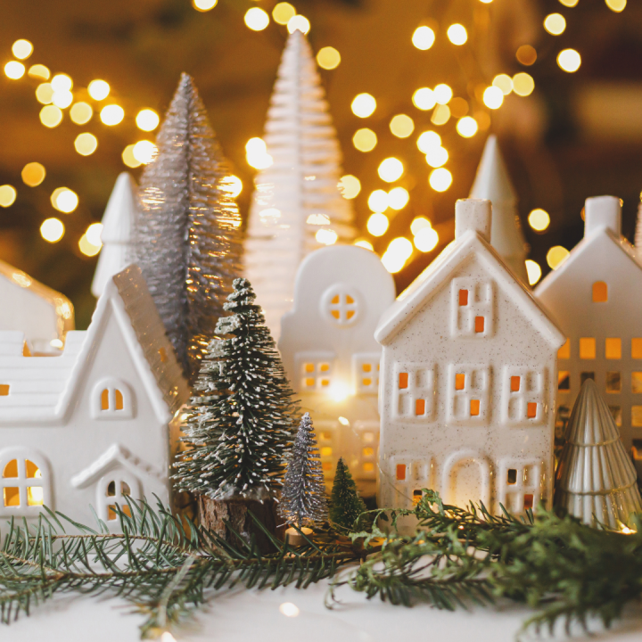 Wilt u ook kerstverlichting kopen? U doet het bij tuincentrum Schmitz in Vlodrop, nabij Roermond!