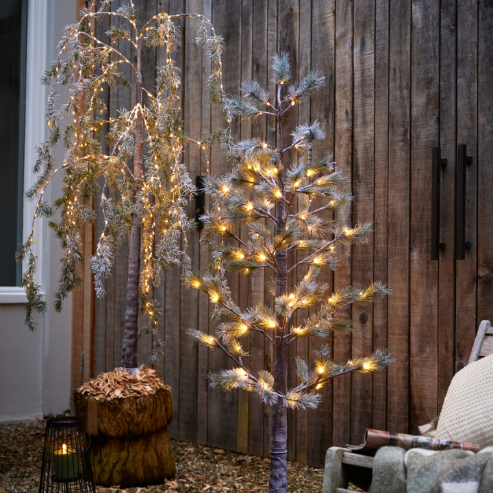 Wilt u ook kerstverlichting kopen? U doet het bij tuincentrum Schmitz in Vlodrop, nabij Roermond!