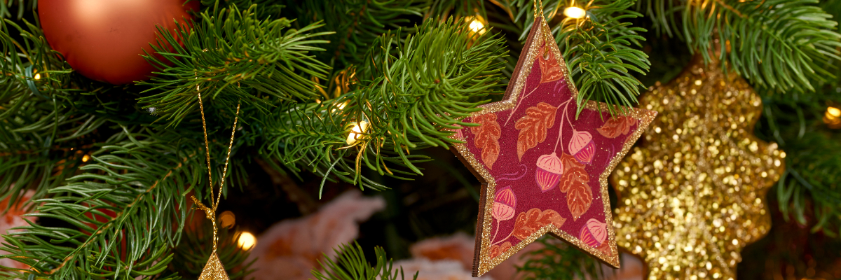 Everlands kerstboom kopen? Je doet het bij tuincentrum Schmitz!