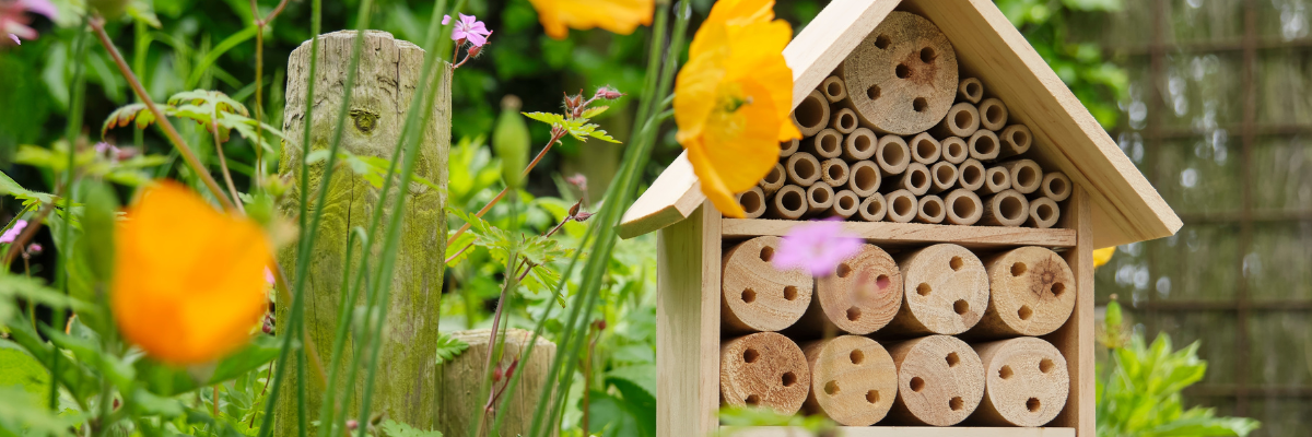 Mai ist der Monat der Bienen: helfen Sie mit im eigenen Garten
