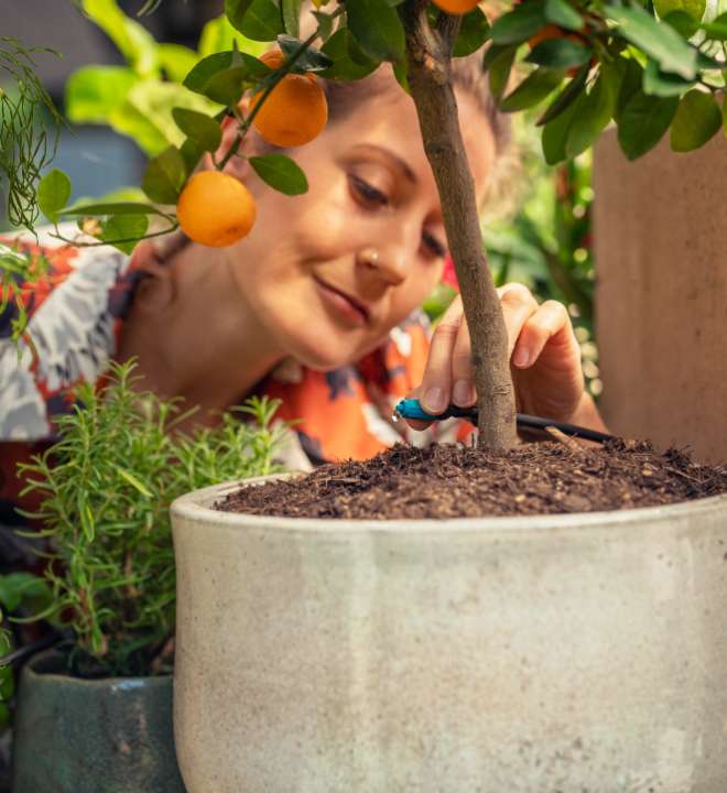 Een besproeiingsset van Gardena koopt u (online) bij tuincentrum Schmitz!