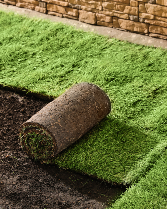 Graszoden kopen? U doet het bij tuincentrum Schmitz in Vlodrop, nabij Roermond!