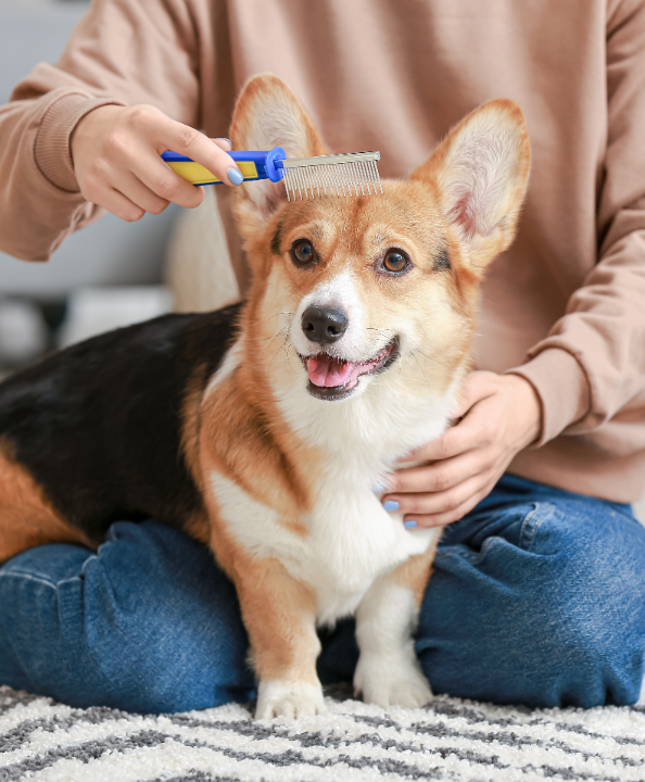 Alles voor uw hond koopt u natuurlijk bij tuincentrum Schmitz!