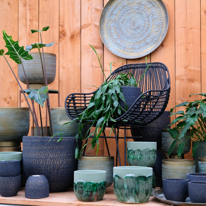 Hangplant shoppen bij tuincentrum Schmitz! Hangplant shoppen bij tuincentrum Schmitz!