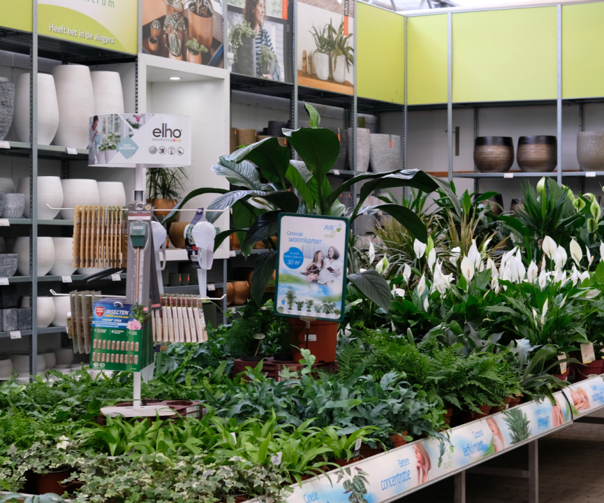 Kamerplanten kopen? U doet het bij tuincentrum Schmitz in Vlodrop, nabij Roermond!