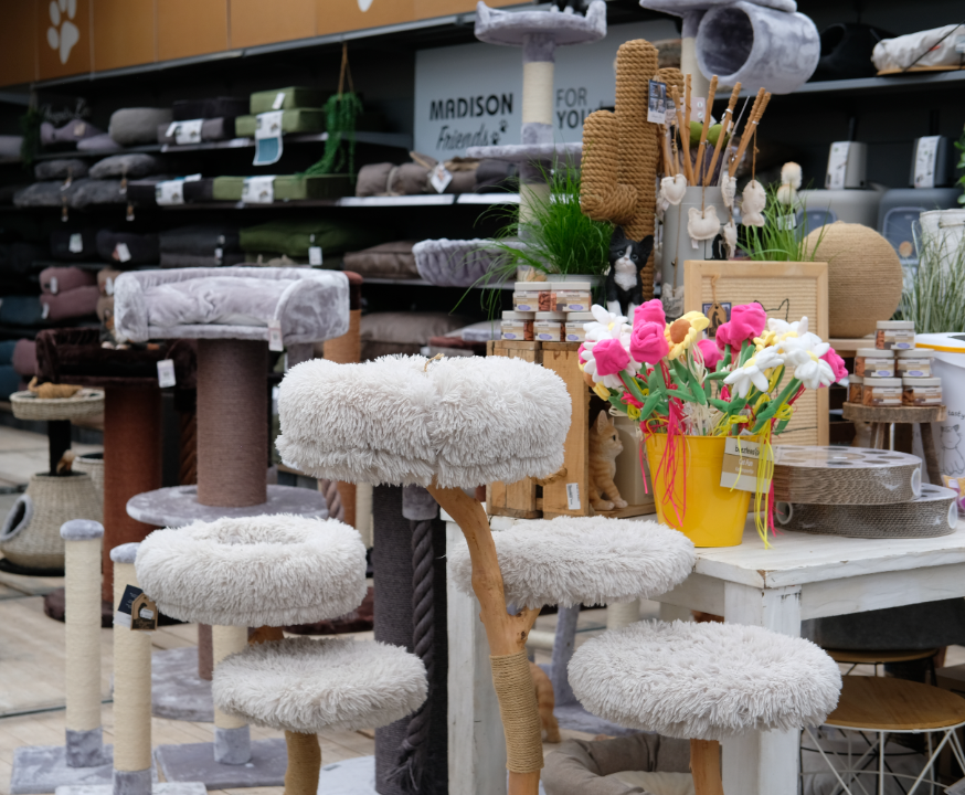 Katten | Tuincentrum Schmitz