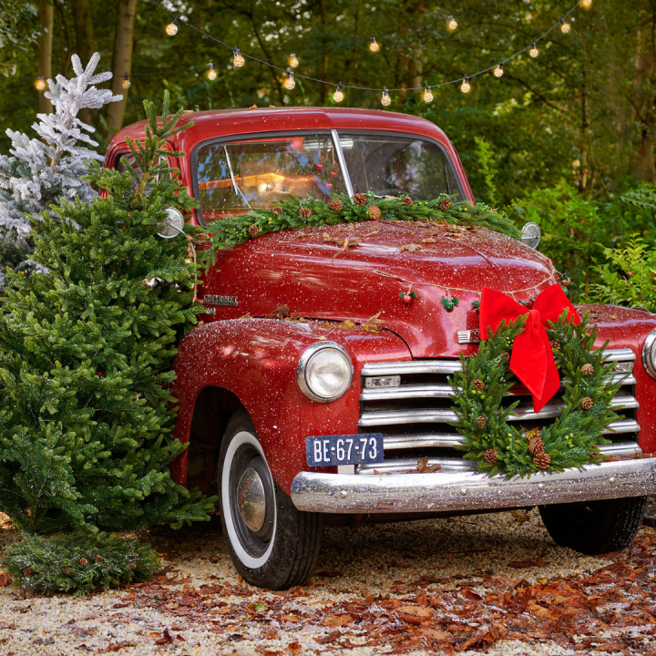 Kerstboom kopen | Tuincentrum Schmitz