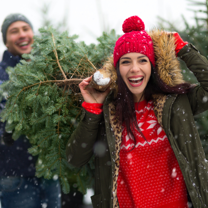 Kerstbomen kopen | Tuincentrum Schmitz