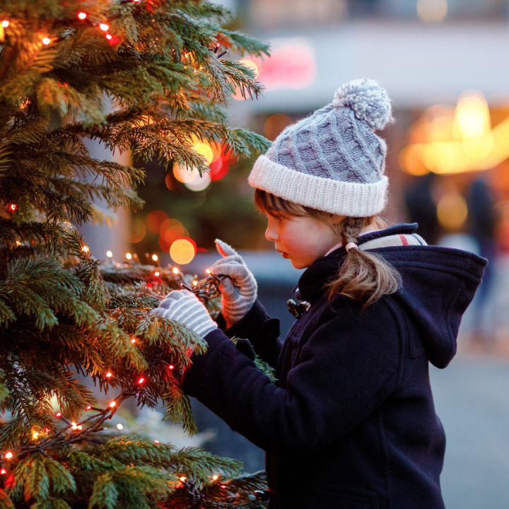 Tuincentrum Schmitz heeft een geweldig aanbod kerstboomverlichting!