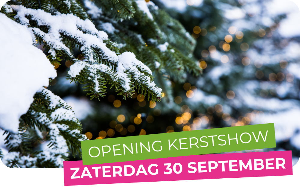Welkom bij tuincentrum Schmitz, hét tuincentrum voor heel Limburg!