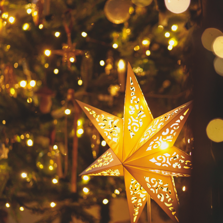 Kerstboomverlichting: alternatieve kerstboom | Tuincentrum Schmitz