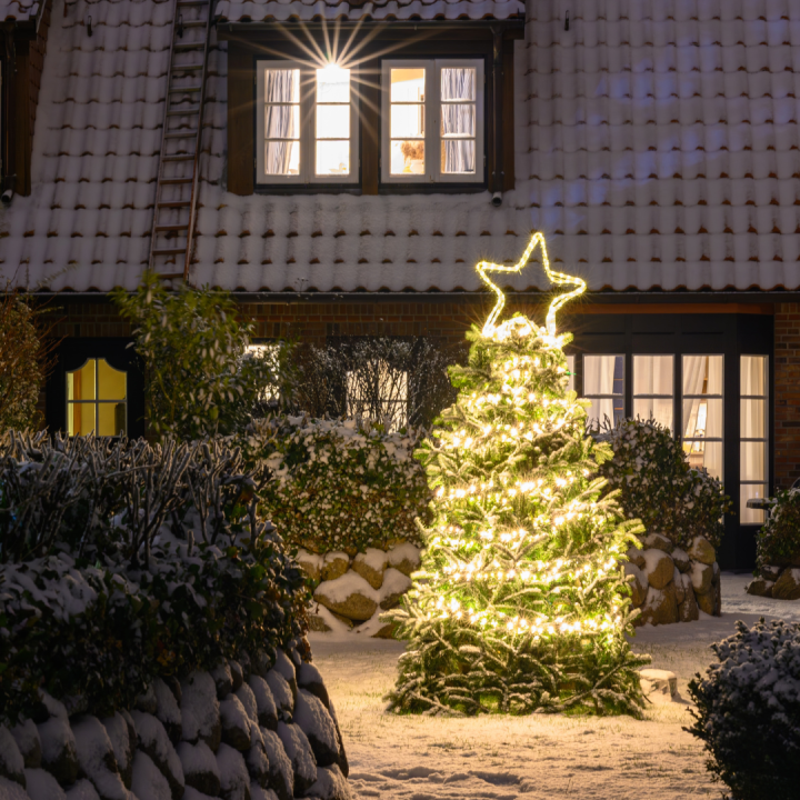 Kerstverlichting online kopen | Tuincentrum Schmitz