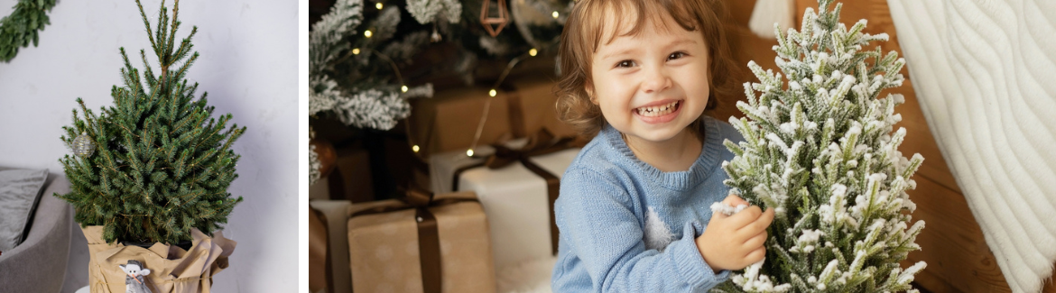 bank hoek mannetje Kleine kerstboom: dé groene kersttrend | Tuincentrum Schmitz