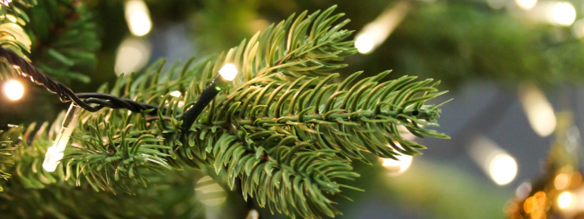Kunstweihnachtsbaum | Gartencenter Schmitz