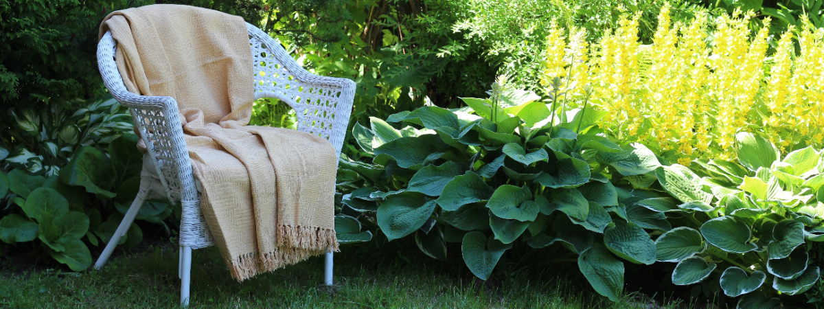 Der Schattengarten: Ruhe, Kühlung und überraschend viele Möglichkeiten