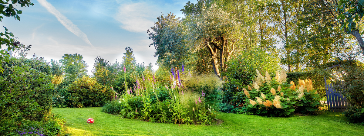 Vom Steingarten zur grünen Oase | Gartencenter Schmitz