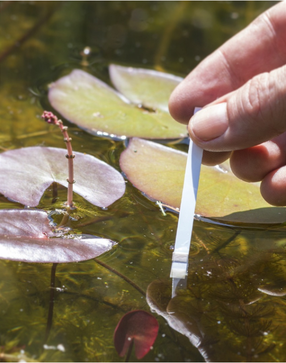 Velda testkit | Tuincentrum Schmitz