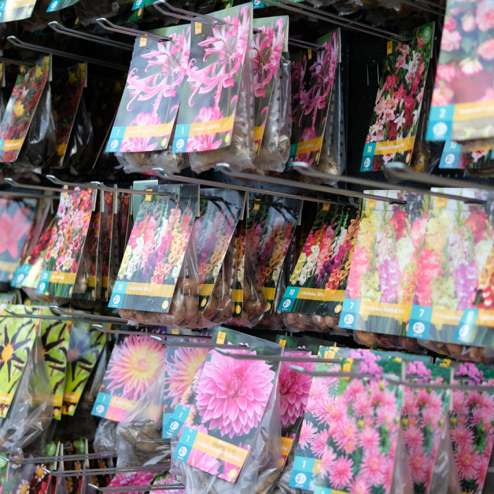 Bij tuincentrum Schmitz in Vlodrop, nabij Roermond, vindt u allerlei bloembollen!