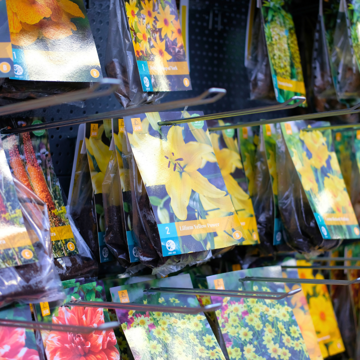 Bollen planten? Kom naar tuincentrum Schmitz in Vlodrop, nabij Roermond!