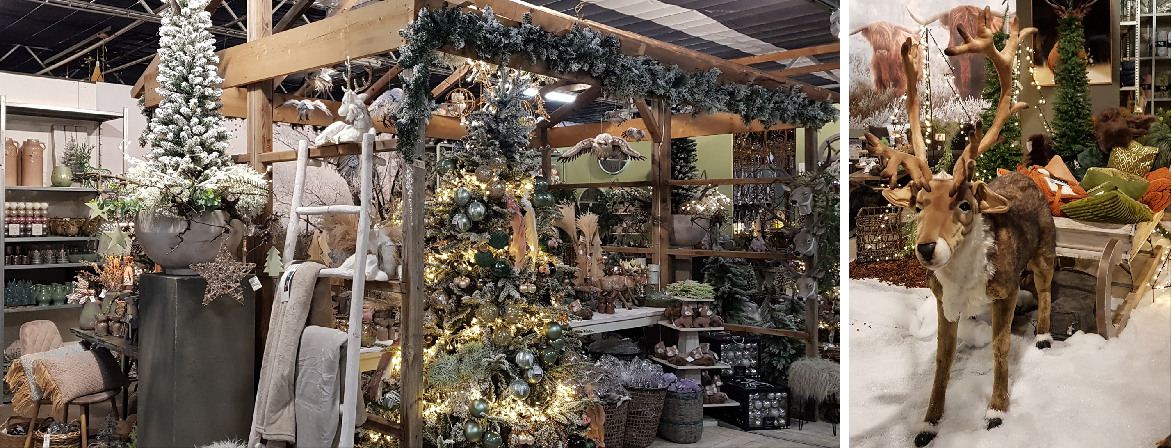 Kersttrends 2020 | Tuincentrum Schmitz in Vlodrop