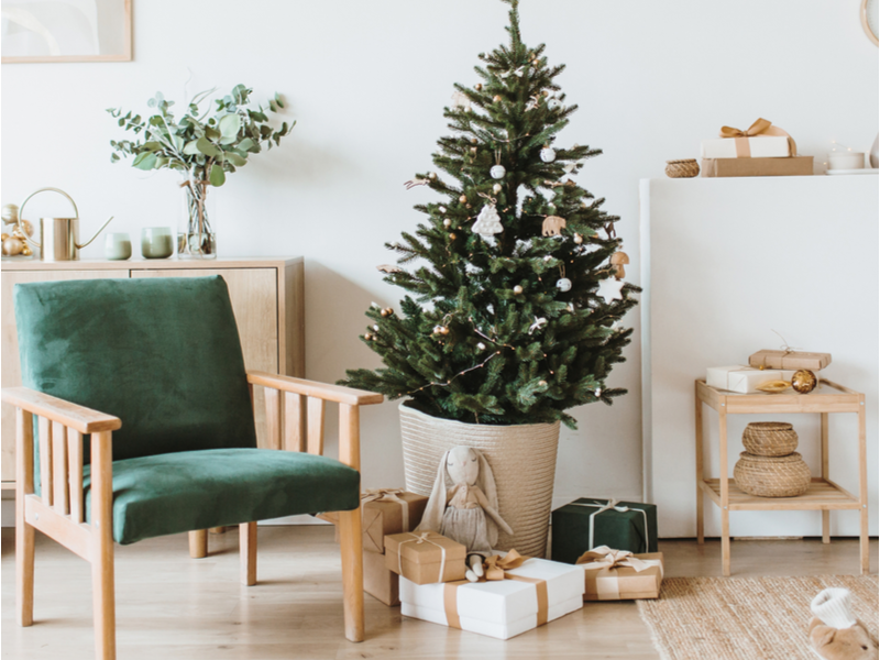 Kerstboom kopen | Tuincentrum Schmitz
