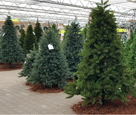 Kunstkerstbomen kopen, online in de winkel | Tuincentrum Schmitz - Tuincentrum Schmitz