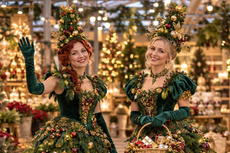 De Kerstdames op bezoek