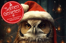 De kerstshow is geopend!