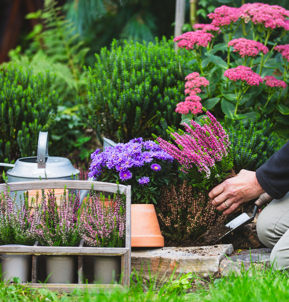 Geef de herfst wat kleur! Geef de herfst wat kleur!