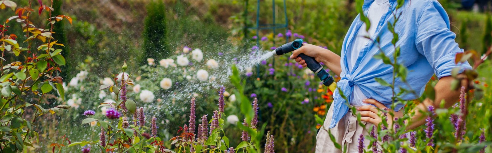 Lekker de tuin in!