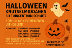 Pompoen-knutselmiddag