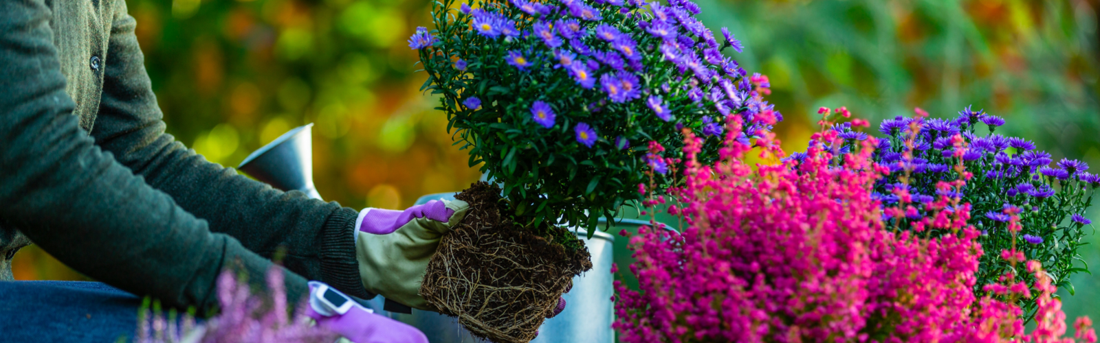 HOERA, HET IS HERFST!