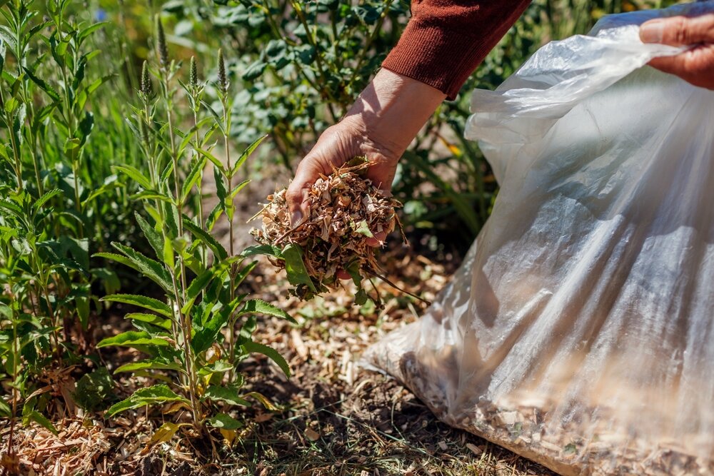 Tuintip: bodembedekking!