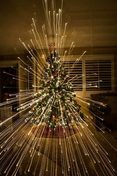 Oom of meneer Kapper Doordringen Hoeveel kerstlampjes moeten er in de kerstboom? - Tuincentrum Schmitz