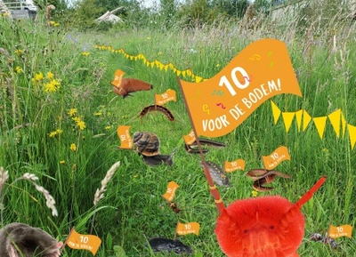 Ontdek nuttige bodemdieren in jouw tuin!