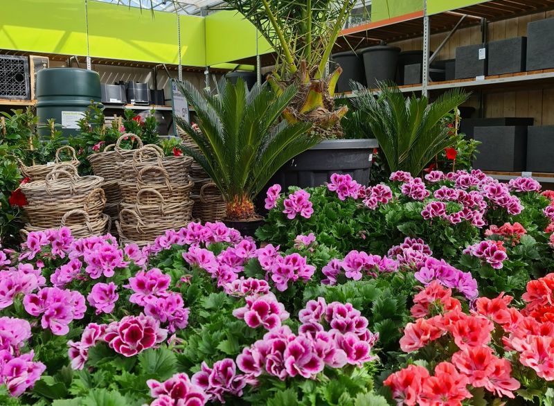 Tuincentrum Schmitz