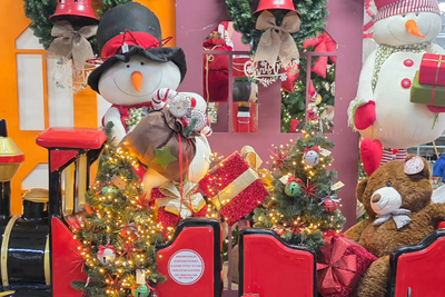 Kerst- en najaarshow 2025