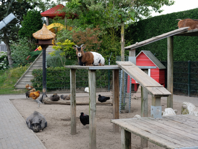 Kinderboerderij bij tuincentrum Schmitz