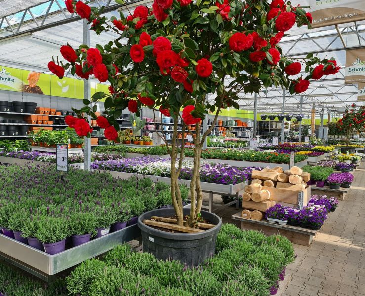 Tuincentrum Schmitz