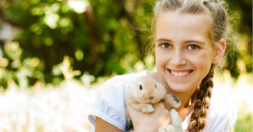 konijnen, cavia's en hamsters kopen