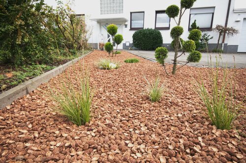 20 ltr - halve perziksteen - afbeelding 2