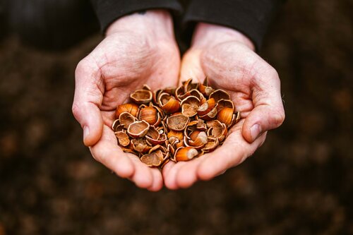 20 ltr - Hazelnootdoppen - afbeelding 3