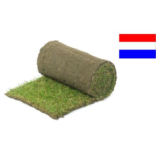 A1 Graszoden vanaf €3.25