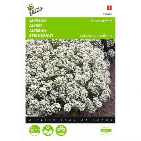 Alyssum sneeuwkleed wit 0.5g