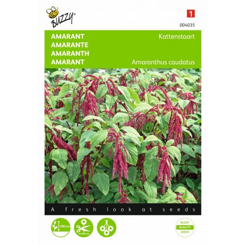 Amaranthus rode bloemtros 1g