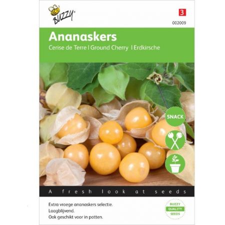 Ananaskers physalis pruinosa 0.1g